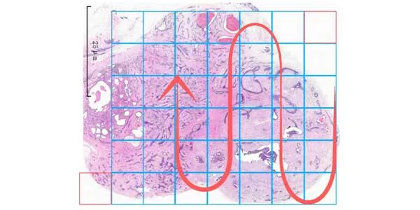 GCell Technology S-Shaped Scaning GCell Technology S-Shaped Scaning