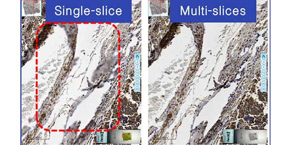 GCell Technology Z-Stack Scanning GCell Technology Z-Stack Scanning